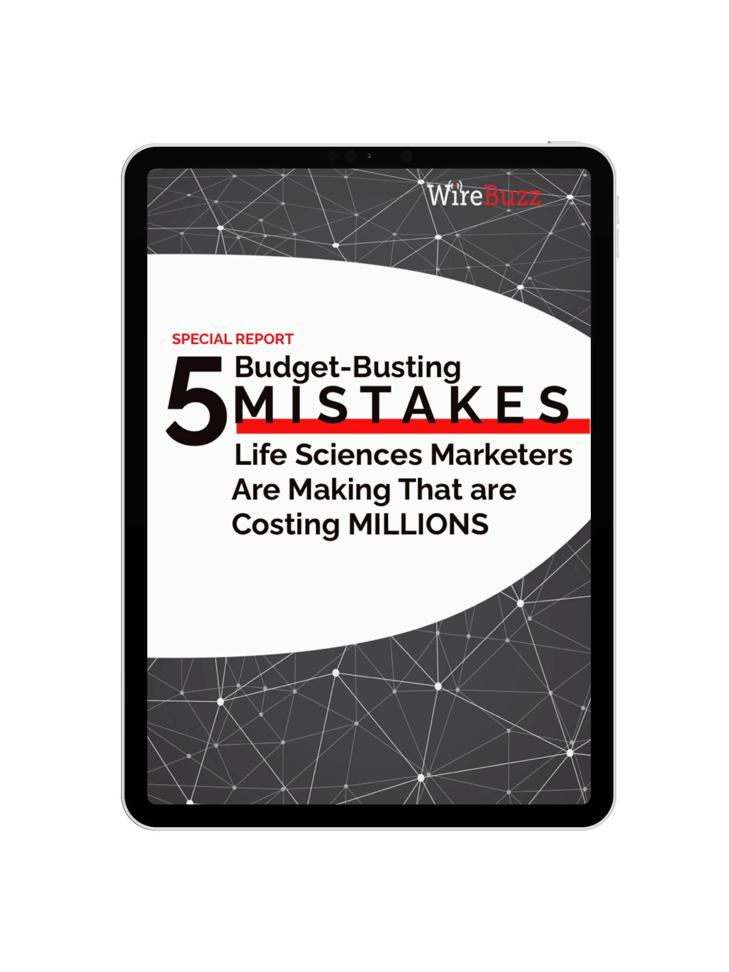 WireBuzz 5 Costly Mistakes Report(02)